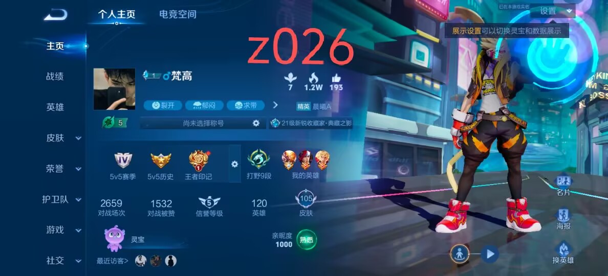 WZ30041王者荣耀账号详情图1